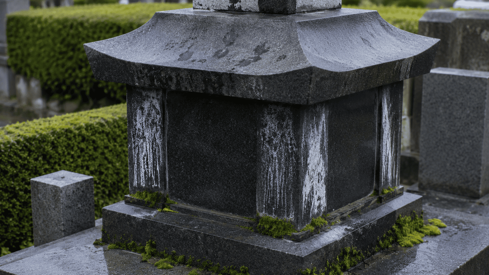 墓石につくコケ・水垢・黒ずみの3大汚れと原因を一枚で示す比較イメージ｜広島の石材店が解説